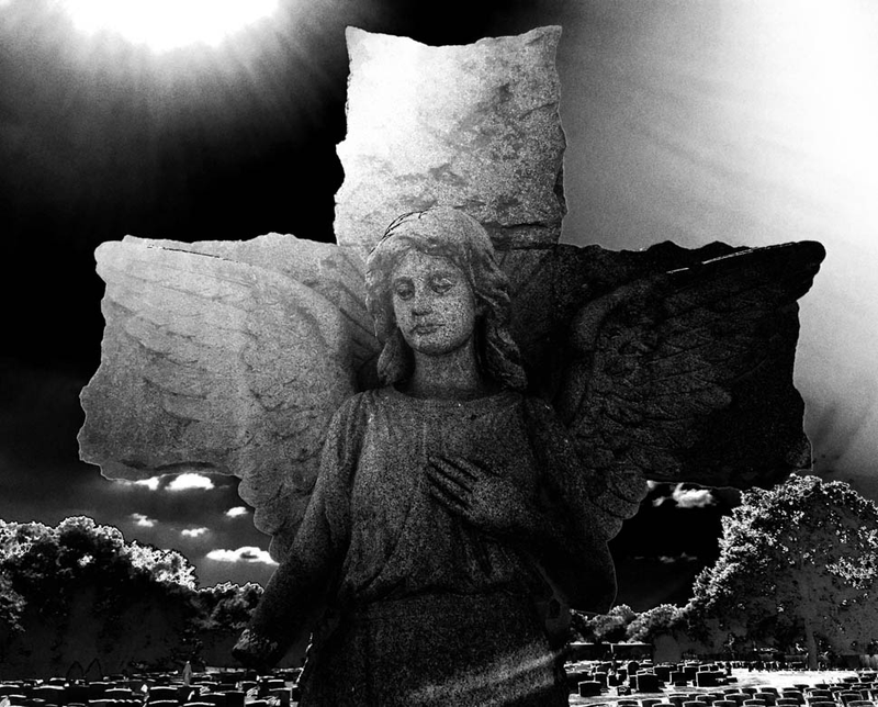 Illustration for article titled 18 Oddworld Photos That Reverse Light And Dark